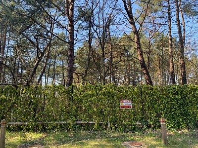 TERRAIN A VENDRE - HARDELOT PLAGE - 367500 €
