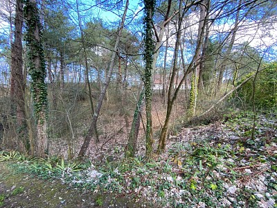 TERRAIN A VENDRE - HARDELOT PLAGE - 367500 €