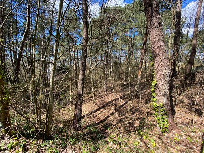 TERRAIN A VENDRE - HARDELOT PLAGE - 367500 €