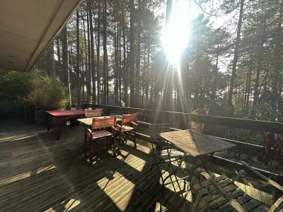 FORESTIERE A VENDRE - HARDELOT PLAGE - 49 m2 - 371000 €